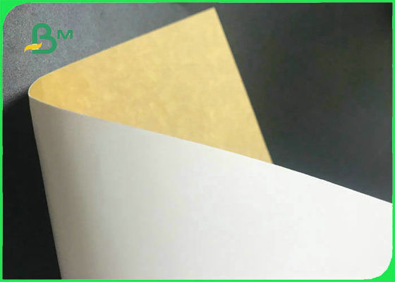 White Top Kraft Ramah Lingkungan Kembali 250gsm - 360gsm Untuk Paket Makanan