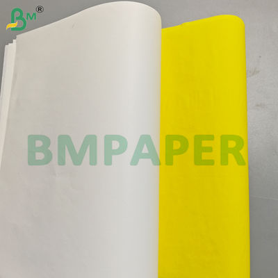 Kertas Liner Muffin Cup Cake Premium Anti Lengket Food Safe