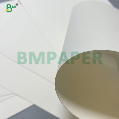 300gm Fold Resistance Cup Stock Paper Roll Untuk Cangkir Minuman Panas