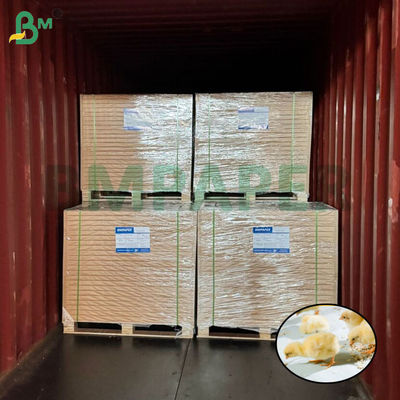 White Chick Rearing Paper Chicken Paper untuk peternakan unggas 66cm 100cm