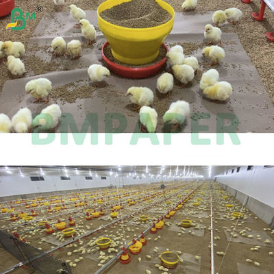 White Chick Rearing Paper Chicken Paper untuk peternakan unggas 66cm 100cm
