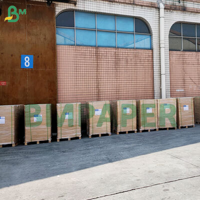 Non-Lapisan Cupcake Liner Untuk Baking Berwarna Greaseproof Parchment Muffin Liner Paper