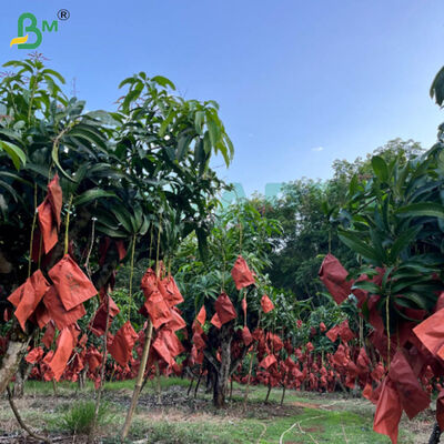 56g Single Side Wax Red And Black Paper Untuk Tas Pertanian Mangga, Kertas Perlindungan Buah yang Tahan Cuaca