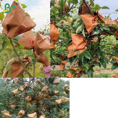 Kertas Kemasan Buah Merah Untuk Membungkus Apel, Kertas Kantong Apel Non-Waxed 56gsm