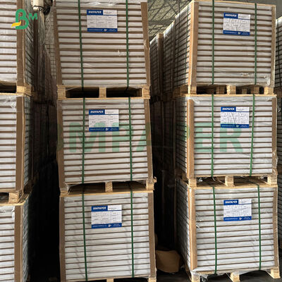 Kertas Muffin Liner Kopi Putih Kuning Hijau Untuk Baking