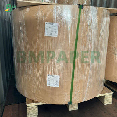 Kertas Muffin Liner Kopi Putih Kuning Hijau Untuk Baking