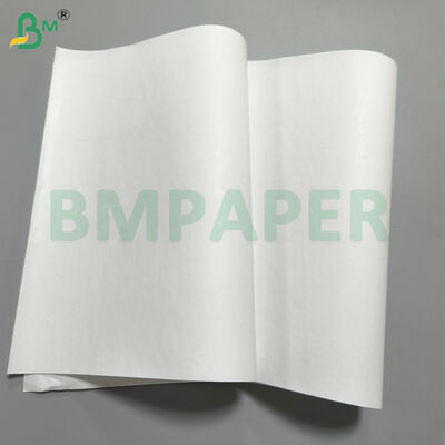 ECR / RECEIPT Basis kertas kertas termal Parent Rolls Dengan Lapisan