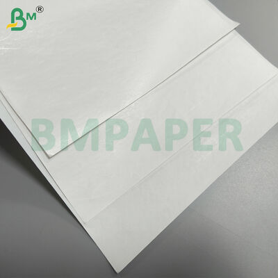 ECR / RECEIPT Basis kertas kertas termal Parent Rolls Dengan Lapisan