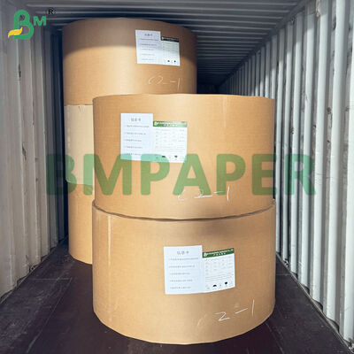 PET Lapisan Makanan Plat Kertas Bahan Putih Warna Makanan Tray Kertas