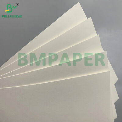 210 GSM Natural Kraft PE Coated Biodegradable Paper for Cold Cups - Komposable