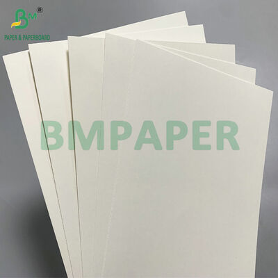 210 GSM Natural Kraft PE Coated Biodegradable Paper for Cold Cups - Komposable