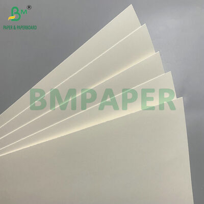 Biodegradable & Microwave Safe Paperboard Untuk Membuat Mangkuk Satu Kali Untuk Salad