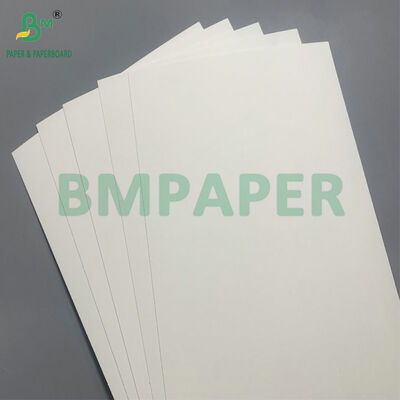 Biodegradable & Microwave Safe Paperboard Untuk Membuat Mangkuk Satu Kali Untuk Salad