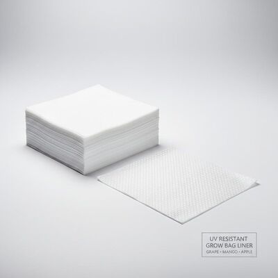 UV Resistant Grape Mango Apple Grow Bagging Paper Inner Layer Liner