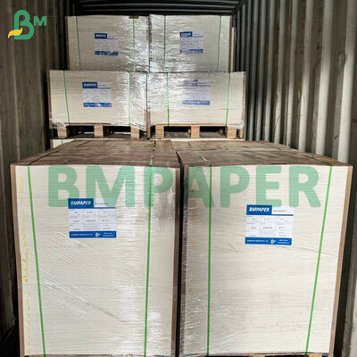 Microwave - Kertas Makanan Aman Untuk Piring Kertas, Cangkir Tahan Potongan