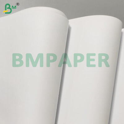 70/80gsm Wood-free Good Printing Jumbo Rolls for Exercise Books