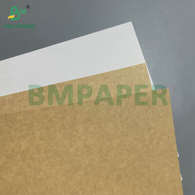 FDA Grade Top Side Clay Coated 365gsm Kraft Paper for Food Packaging