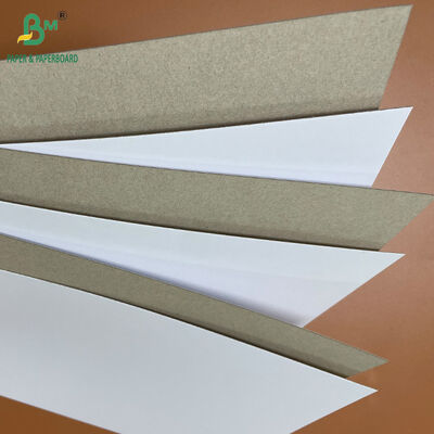 250gsm 300gsm 350gsm 400gsm Papan Karton CCNB untuk Kemasan Makanan Beku