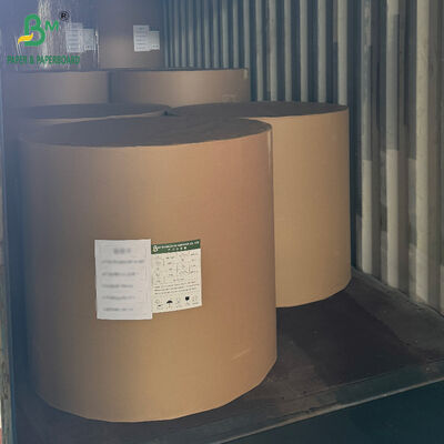 250gsm 300gsm 350gsm 400gsm Papan Karton CCNB untuk Kemasan Makanan Beku