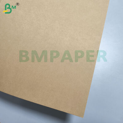 Tidak dicelupkan PE dilapisi cangkir mangkuk stok 250gsm Air Proof Makanan Kraft Paper