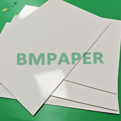 295gm + 15g PE Freezer Paper Board Untuk Tray Makanan Beku Kekuatan Ledakan Tinggi