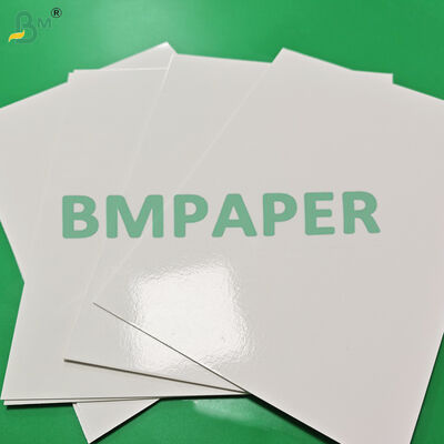 295gm + 15g PE Freezer Paper Board Untuk Tray Makanan Beku Kekuatan Ledakan Tinggi
