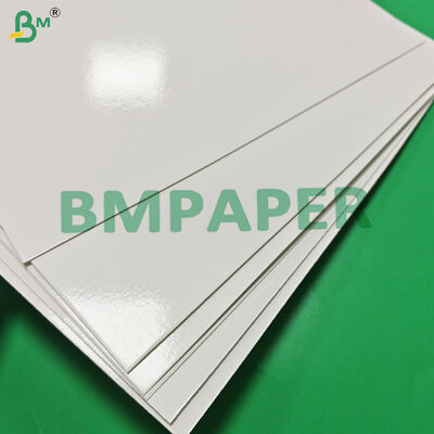 295gm + 15g PE Freezer Paper Board Untuk Tray Makanan Beku Kekuatan Ledakan Tinggi