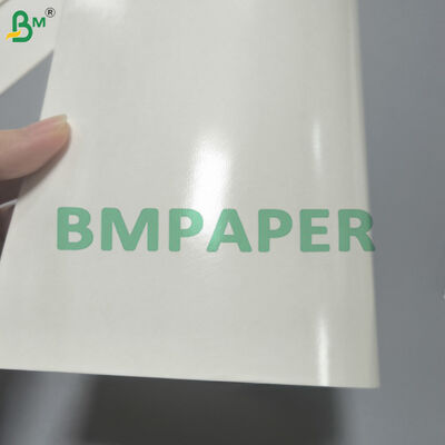 Kertas Cupstock Aman Makanan Kertas Dilapisi PE Untuk Minuman Panas & Dingin
