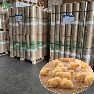 100% Daur Ulang 43g ayam bertelur kertas roll 63cm x 200m Ringan