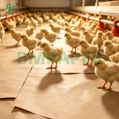 75g Kertas Anti Selip Tempat Tidur Penyerap Untuk Penetasan Unggas Air Anak Ayam