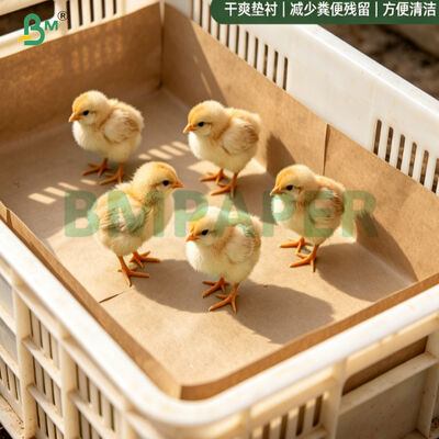 75gm Brown Chick Paper 100% Daur Ulang Biodegradable Lengan Unggas Gulung Kertas Untuk perkebunan