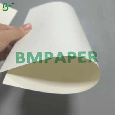 Kertas Cangkir Berlapis Dasar Air Sisi Tunggal Bebas Plastik 170-320g Putih