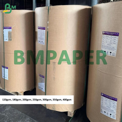 250gm 300gm Kertas Kraft Putih Untuk Menggantung Tag Jumbo Roll, Permukaan Karat
