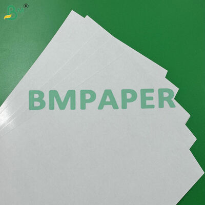 300-320gsm Kartu kertas berlapis sisi ganda dengan kekakuan tinggi