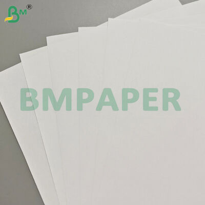 Kertas Buku Woodfree Cream 90gsm Gulungan Jumbo untuk Cetak Offset