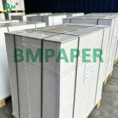 190g 230g 250g Kertas Ivory Coated (C1S), Kertas Karton Cetak & Kemasan 65cmx86cm