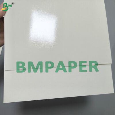 Papan kertas PET tahan panas untuk cangkir, mangkuk yang dapat dibakar