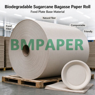 80g-300g Kertas Bagas Tebu Biodegradable Gulungan Untuk Membuat Piring Makanan