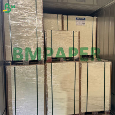 80g-300g Kertas Bagas Tebu Biodegradable Gulungan Untuk Membuat Piring Makanan