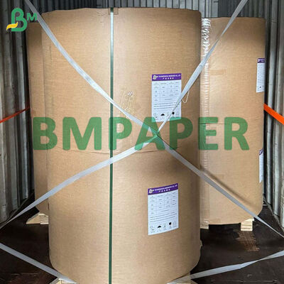 80g-300g Kertas Bagas Tebu Biodegradable Gulungan Untuk Membuat Piring Makanan