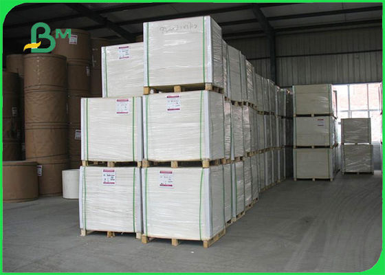 Kekakuan Tinggi FSC Disetujui 230 - 400g Kertas Papan Gading untuk Pencetakan