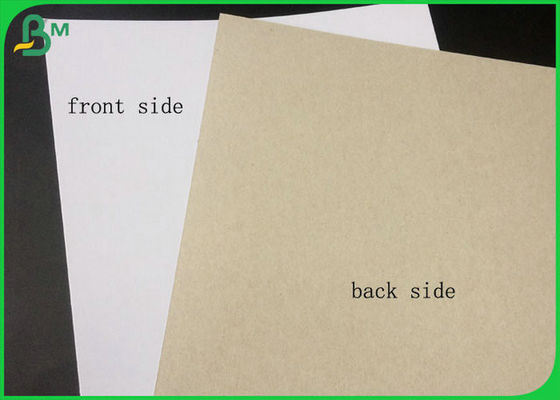 FSC Bersertifikat Dilapisi Duplex Board Sisi Putih Dengan Abu-abu Kembali Dalam Kemasan Gulung Besar