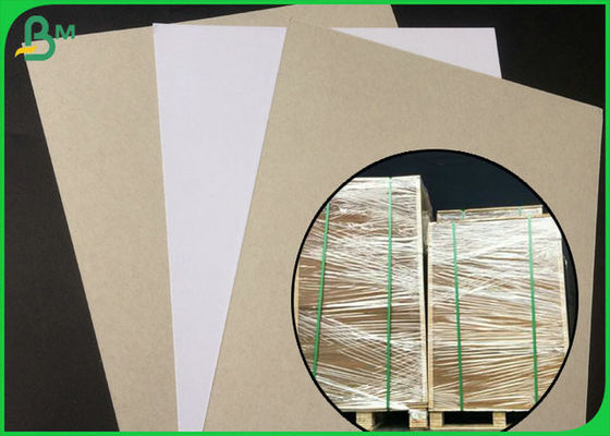 FSC Bersertifikat Dilapisi Duplex Board Sisi Putih Dengan Abu-abu Kembali Dalam Kemasan Gulung Besar