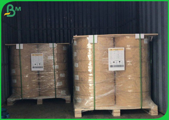 50gsm - 300gsm FDA FSC Food Grade PE Coated Paper Untuk Kemasan Makanan