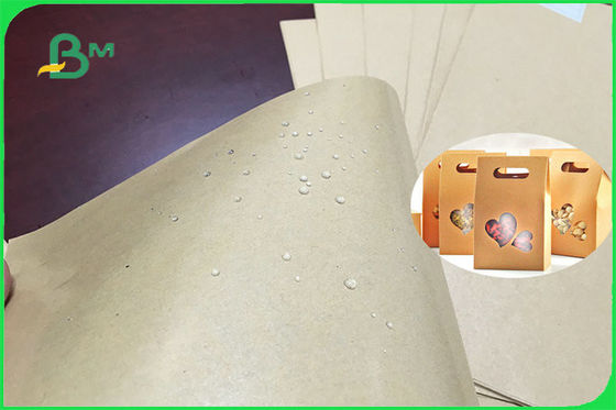 300gsm 350gsm PE Coated Paper Sheet Sisi Tunggal atau Ganda untuk Plat FSC FDA