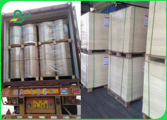 FDA FSC Bersertifikat Makanan Aman Kue Kertas Tahan Panas Untuk Panggangan Memasak BBQ