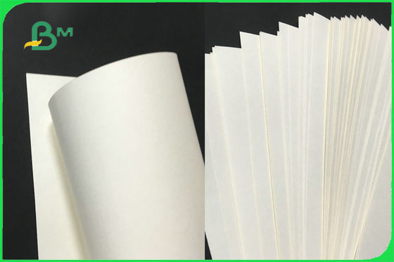 100% Virgin Biodegradable Paper Base Paper Cup Tanpa Lapisan 170 - 300gsm FDA FSC