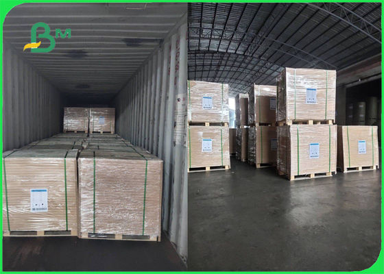 FSC Disetujui 70g 80g Gulungan Kertas Woodfree Putih Untuk Brosur Halus