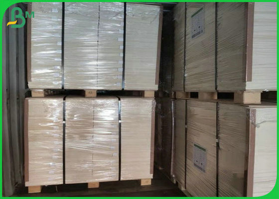 1.3mm 1.4mm Pure Pulp White Absorbent Blotter Paper Untuk Membuat Bir Mat 24 x 36 inci
