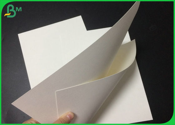 1.3mm 1.4mm Pure Pulp White Absorbent Blotter Paper Untuk Membuat Bir Mat 24 x 36 inci